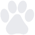 Paw print icon - We are pet friendly