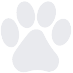 Paw print icon - We are pet friendly